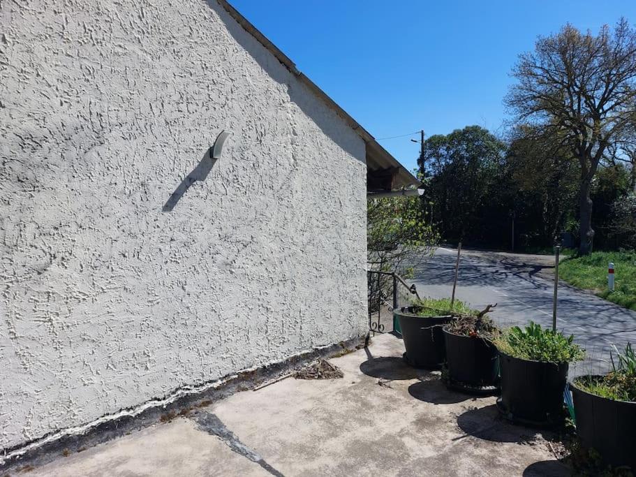 Studio Renove Au Bord Du Gers Lejlighed Lectoure Eksteriør billede